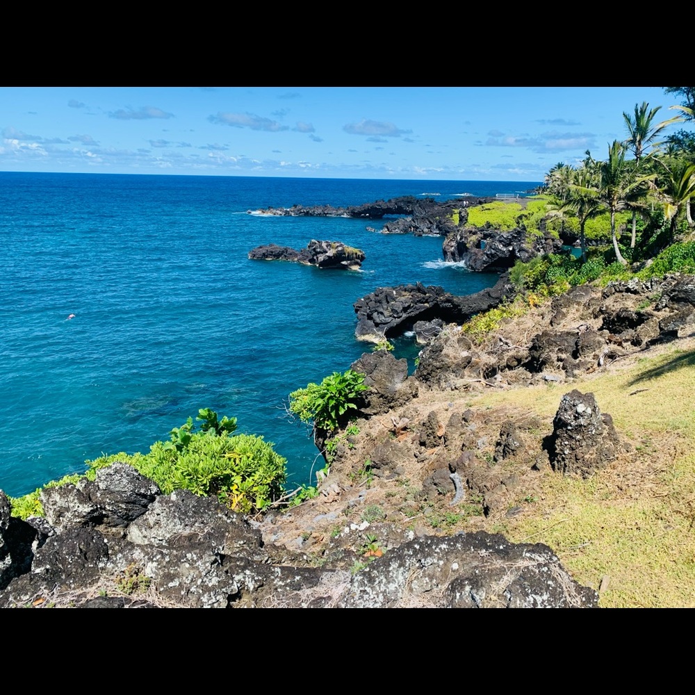 Meet your Posher, Elena